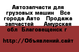 Автозапчасти для грузовых машин - Все города Авто » Продажа запчастей   . Амурская обл.,Благовещенск г.